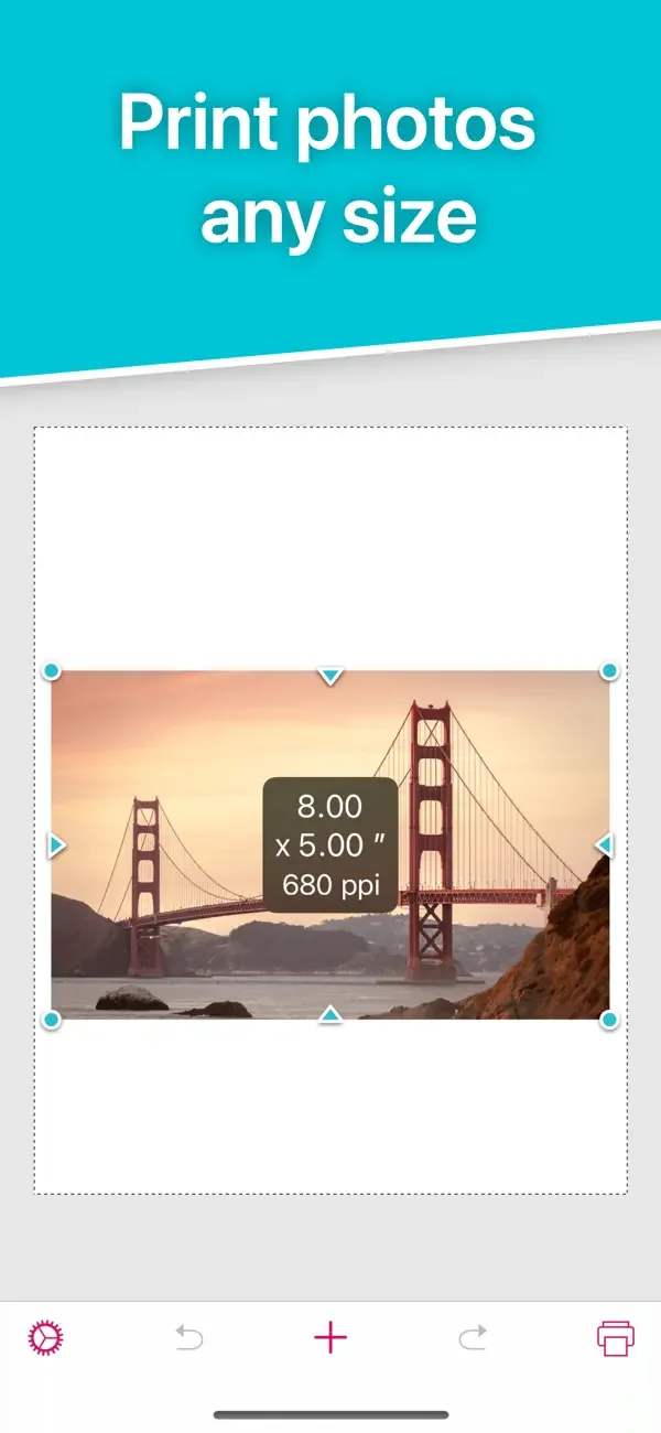 Print to Size screenshot 1