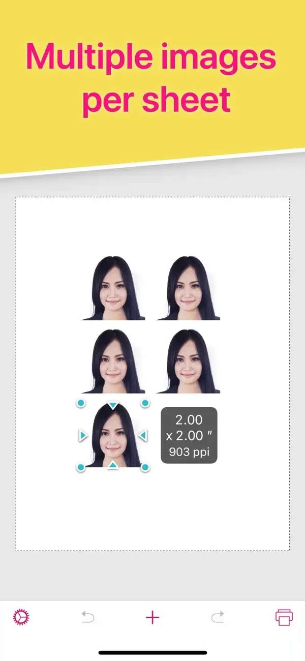 Print to Size screenshot 3