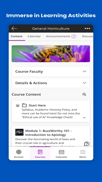 Blackboard screenshot 3