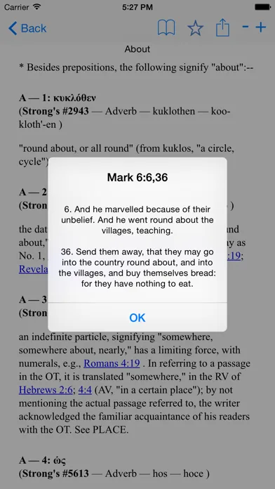 Vine's Expository Dictionary screenshot 4