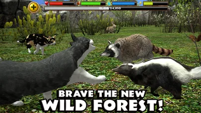Stray Cat Simulator screenshot 4