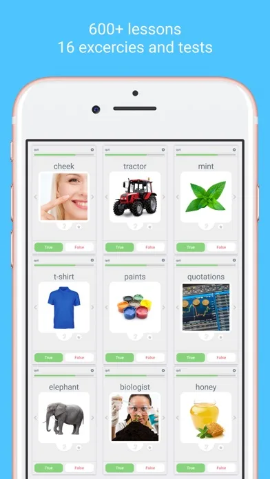 Learn Languages - Lingo Play screenshot 2