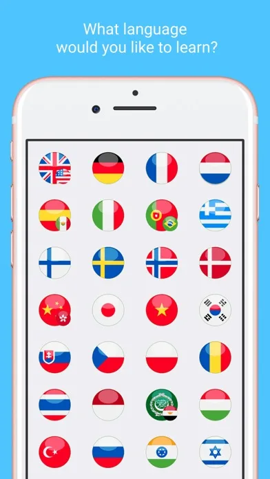 Learn Languages - Lingo Play screenshot 3