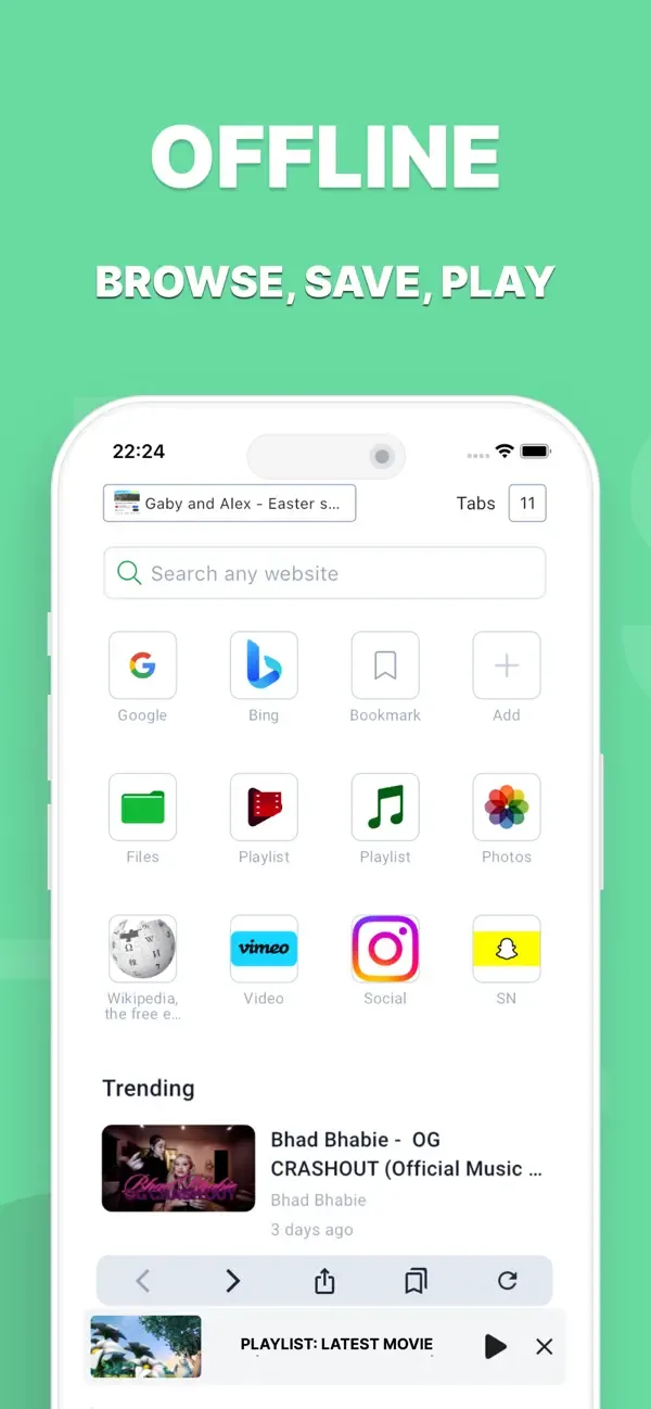 Browser & Offline File Storage screenshot 1