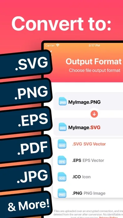 The Vector Converter screenshot 1
