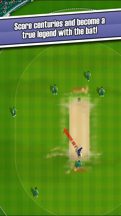 New Star Cricket screenshot 2