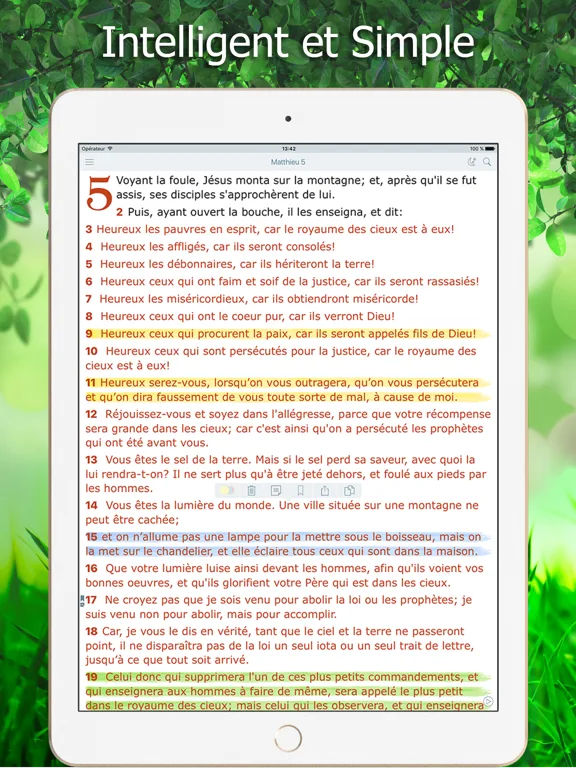 La Bible Louis Segond + Audio screenshot 5