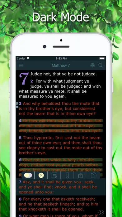 King James Bible with Audio screenshot 3