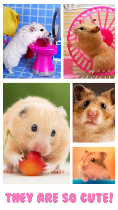Hamster Jigsaw Puzzle Games screenshot 2
