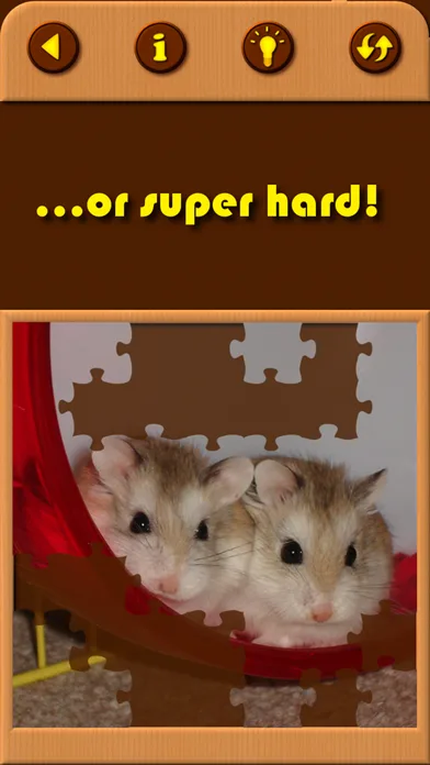 Hamster Jigsaw Puzzle Games screenshot 4