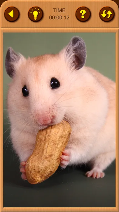 Hamster Jigsaw Puzzle Games screenshot 5