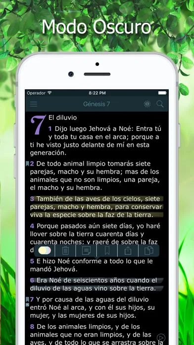 La Biblia Reina Valera Audio screenshot 3