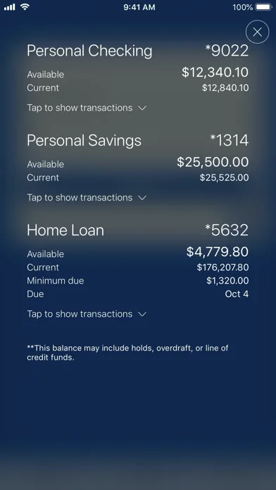 L&N FCU Mobile screenshot 1