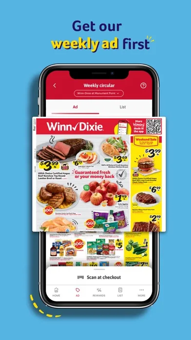 Winn-Dixie screenshot 3