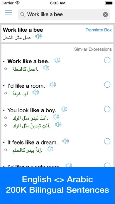 Arabic Translator Offline screenshot 1