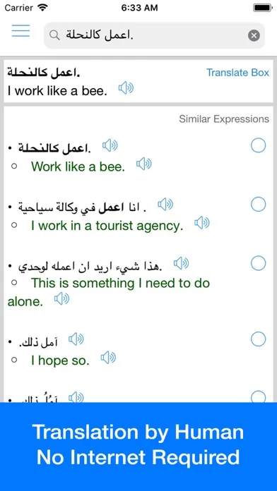 Arabic Translator Offline screenshot 2