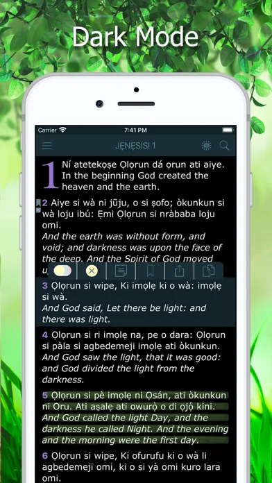 Yoruba Bible Holy Version KJV screenshot 3
