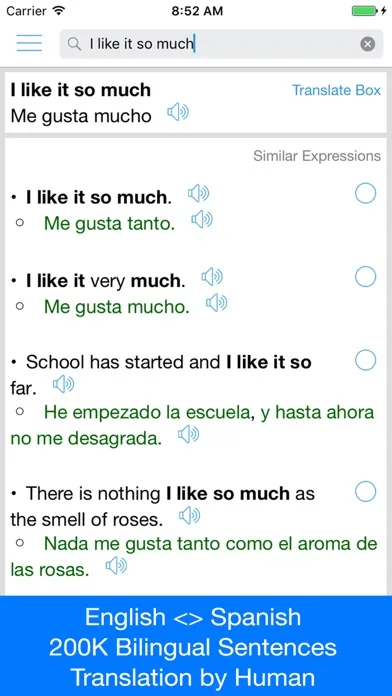 Spanish Translator Offline screenshot 1