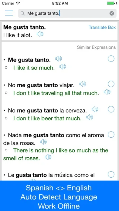 Spanish Translator Offline screenshot 2