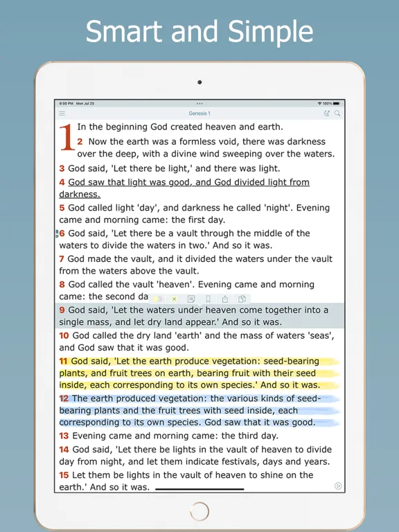 Jerusalem Bible Holy Version screenshot 5