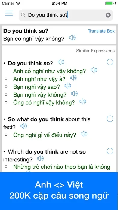 Vietnamese Translator Offline screenshot 1