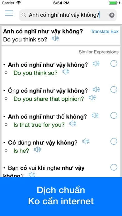 Vietnamese Translator Offline screenshot 2