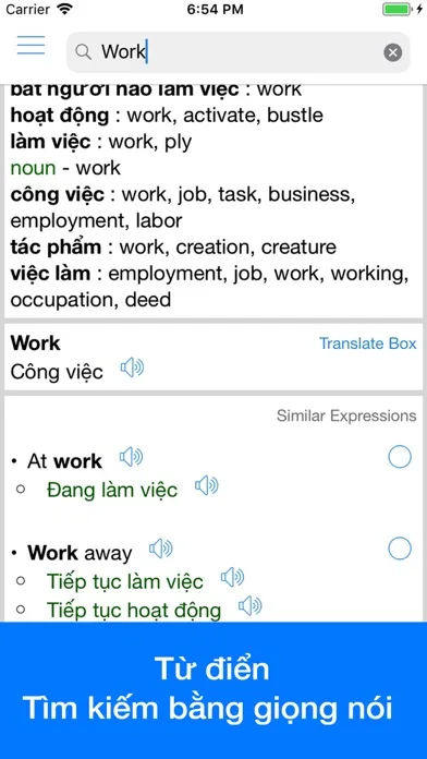 Vietnamese Translator Offline screenshot 3