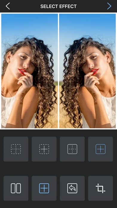 Flipper - Mirror Image Editor screenshot 3