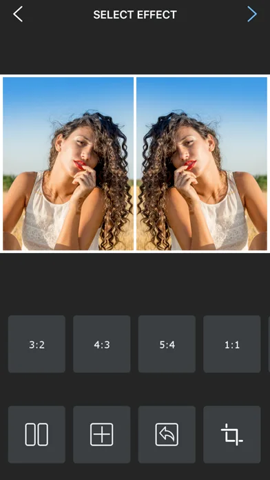 Flipper - Mirror Image Editor screenshot 4