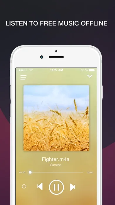 Free Music Online and MP3 Player Manager screenshot 1