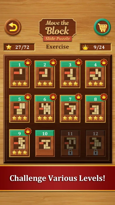 Move the Block : Slide Puzzle screenshot 3