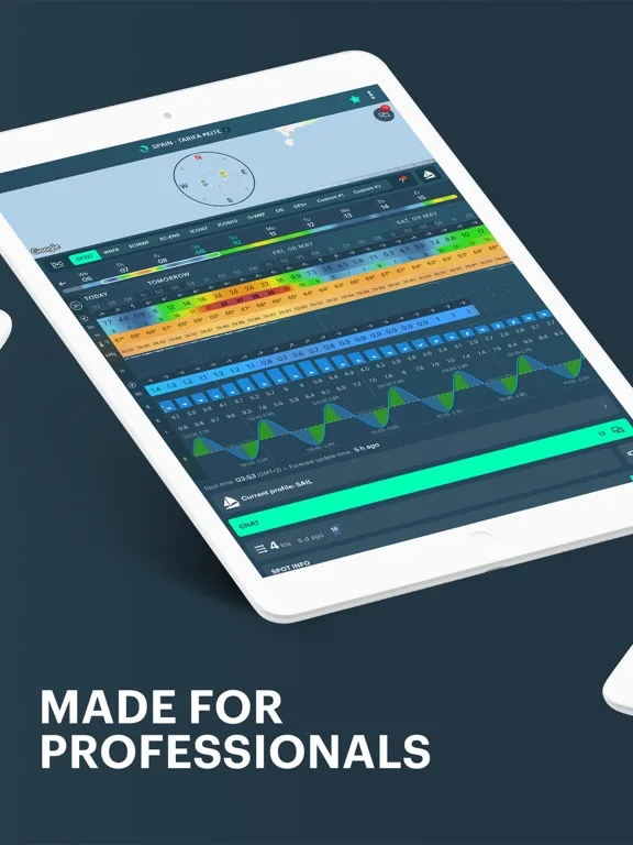 Windy.app — Wind, Tides, Radar screenshot 2