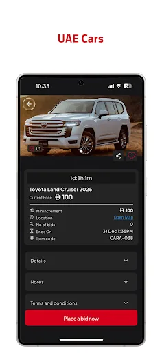 Online Auction screenshot 5