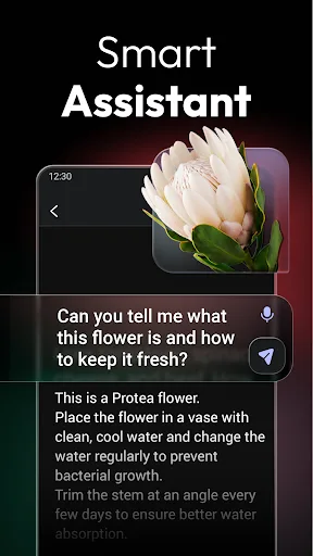 ChatOn - AI Chat Bot Assistant screenshot 2