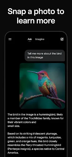 Grok - AI Chat & Video screenshot 3