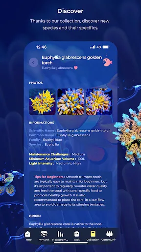 Blue screenshot 4