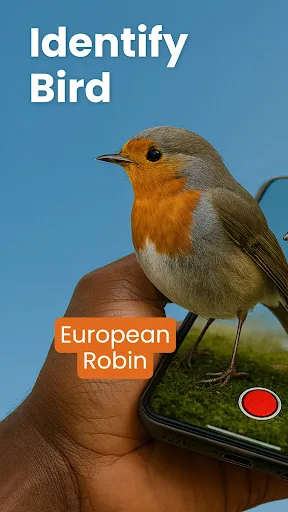 Bird Identifier - Birdby screenshot 1