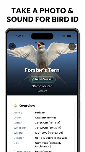 Bird Identifier - Birdby screenshot 3
