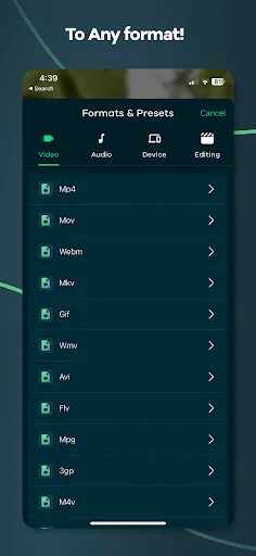 Video Converter - Remux screenshot 2