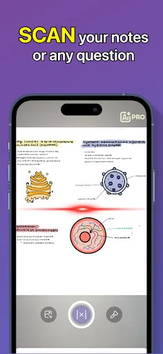 Yolk Ai: Einstein AI Study App screenshot 1