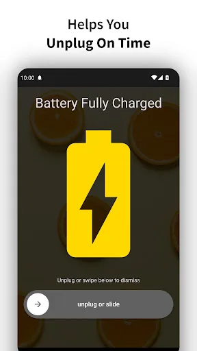 Full Battery Charge Alarm screenshot 3
