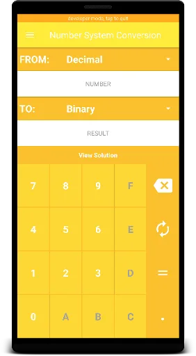 Numeral System Converter screenshot 5