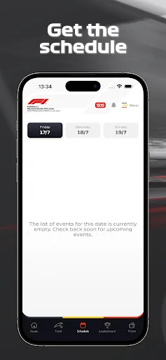 Formula 1 Belgian Grand Prix screenshot 3