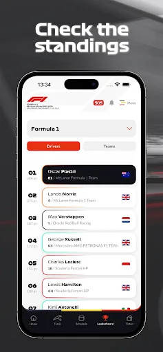 Formula 1 Belgian Grand Prix screenshot 4
