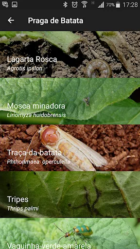 ADAMA HF screenshot 3