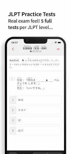 Bunpro Japanese SRS screenshot 4