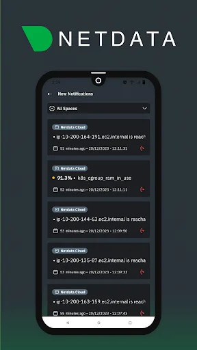 Netdata Mobile screenshot 4