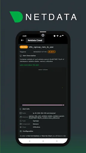 Netdata Mobile screenshot 5