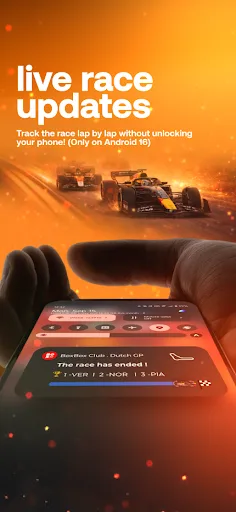 Box Box Club: Formula Widgets screenshot 4