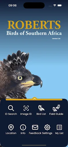 Roberts Birds screenshot 1